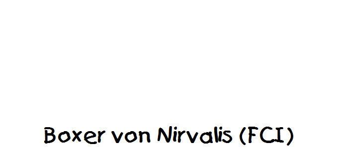 Boxer von Nirvalis (FCI)